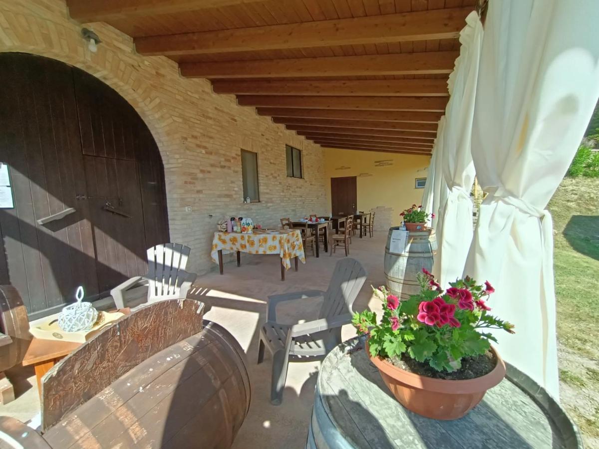 Il Podere Del Nonno Bed & Breakfast Ripatransone Exterior photo