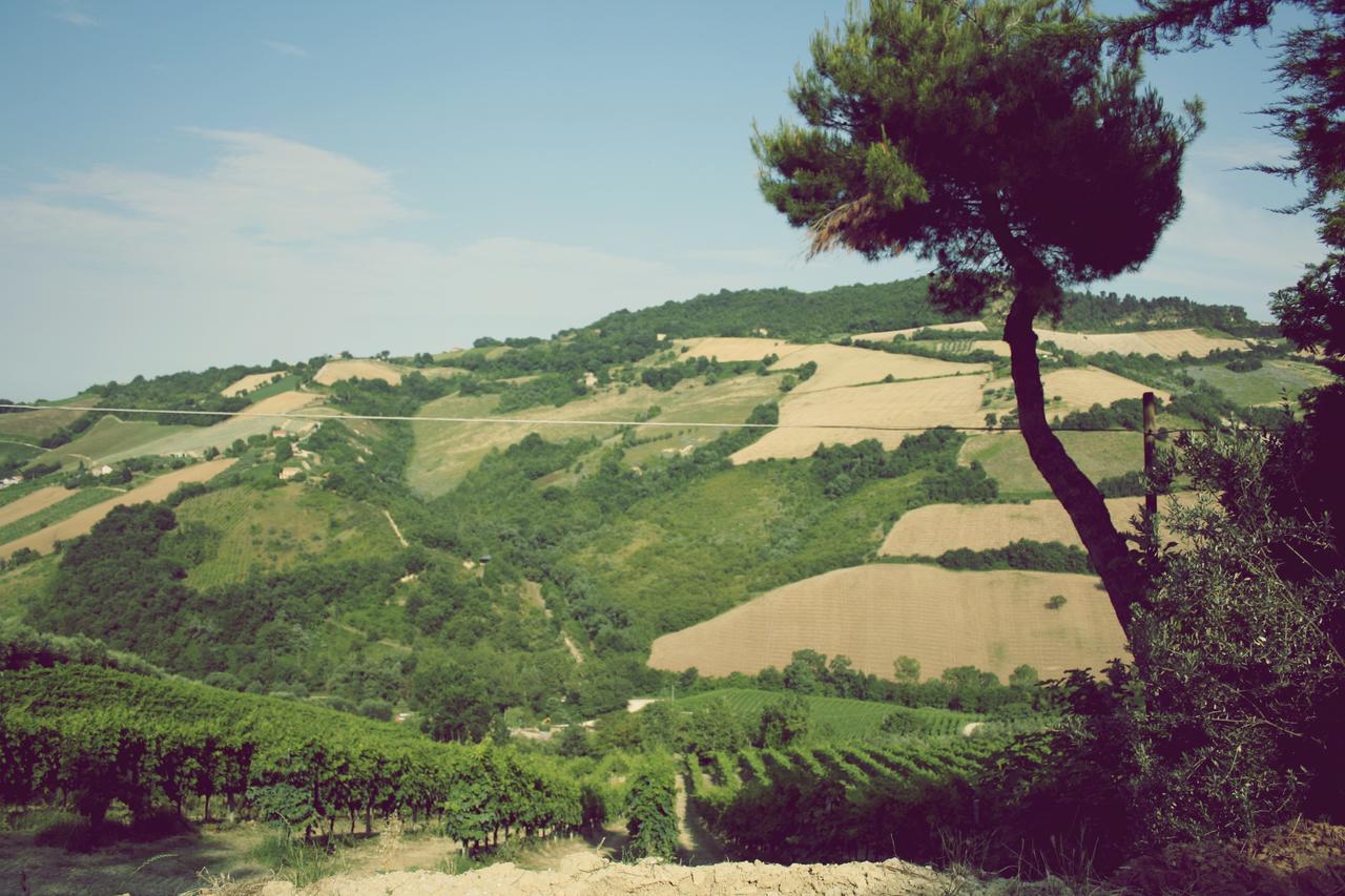 Il Podere Del Nonno Bed & Breakfast Ripatransone Exterior photo